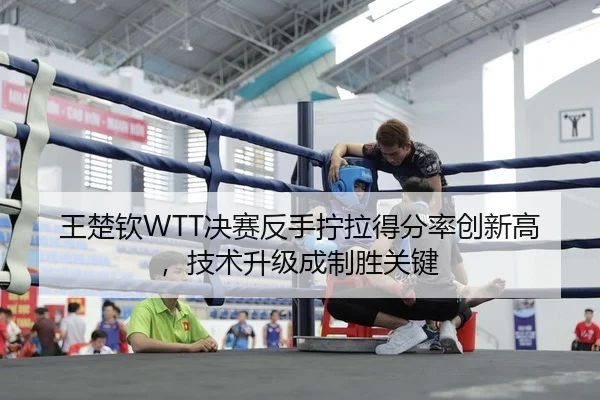 王楚钦WTT决赛反手拧拉得分率创新高，技术升级成制胜关键